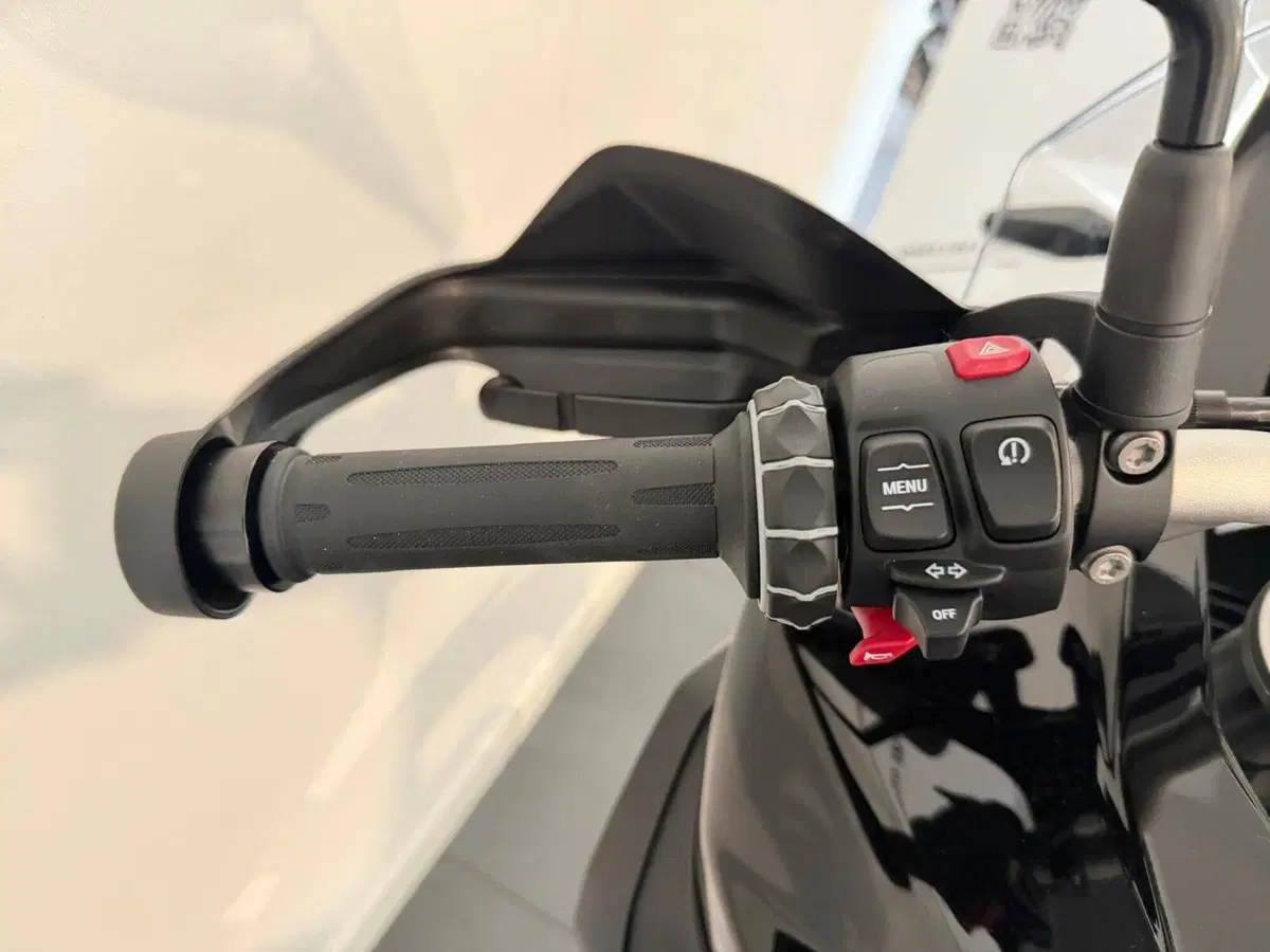 Bmw F 900 GS Adventure (2024 - 26) (6)