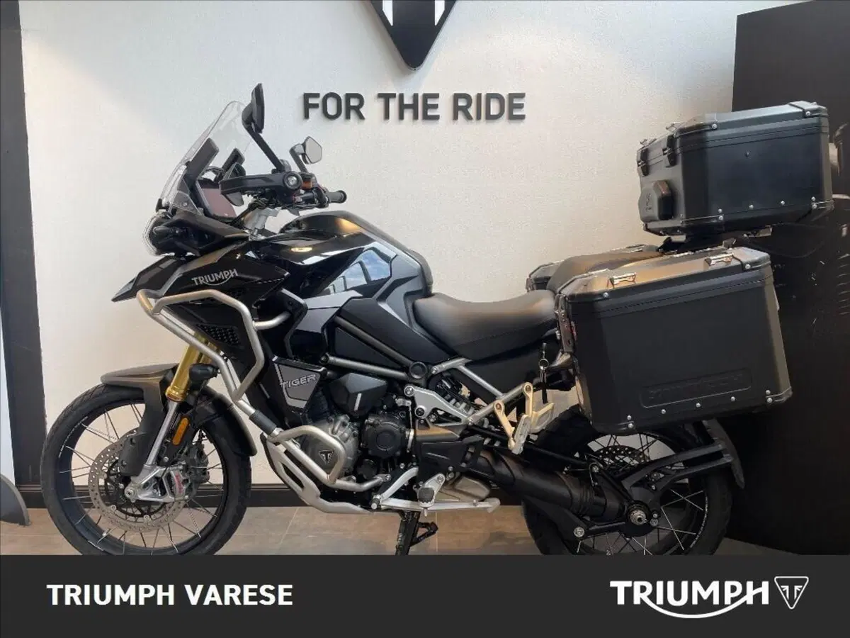 Triumph Tiger 1200 Rally Explorer (2022 - 23) (2)