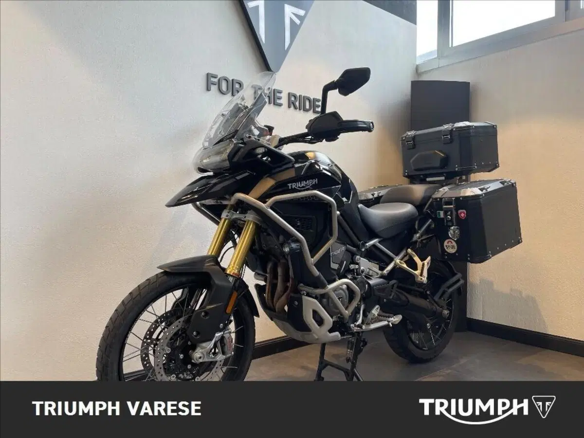 Triumph Tiger 1200 Rally Explorer (2022 - 23) (4)