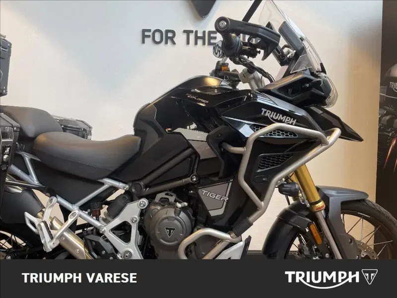 Triumph Tiger 1200 Rally Explorer (2022 - 23) (6)