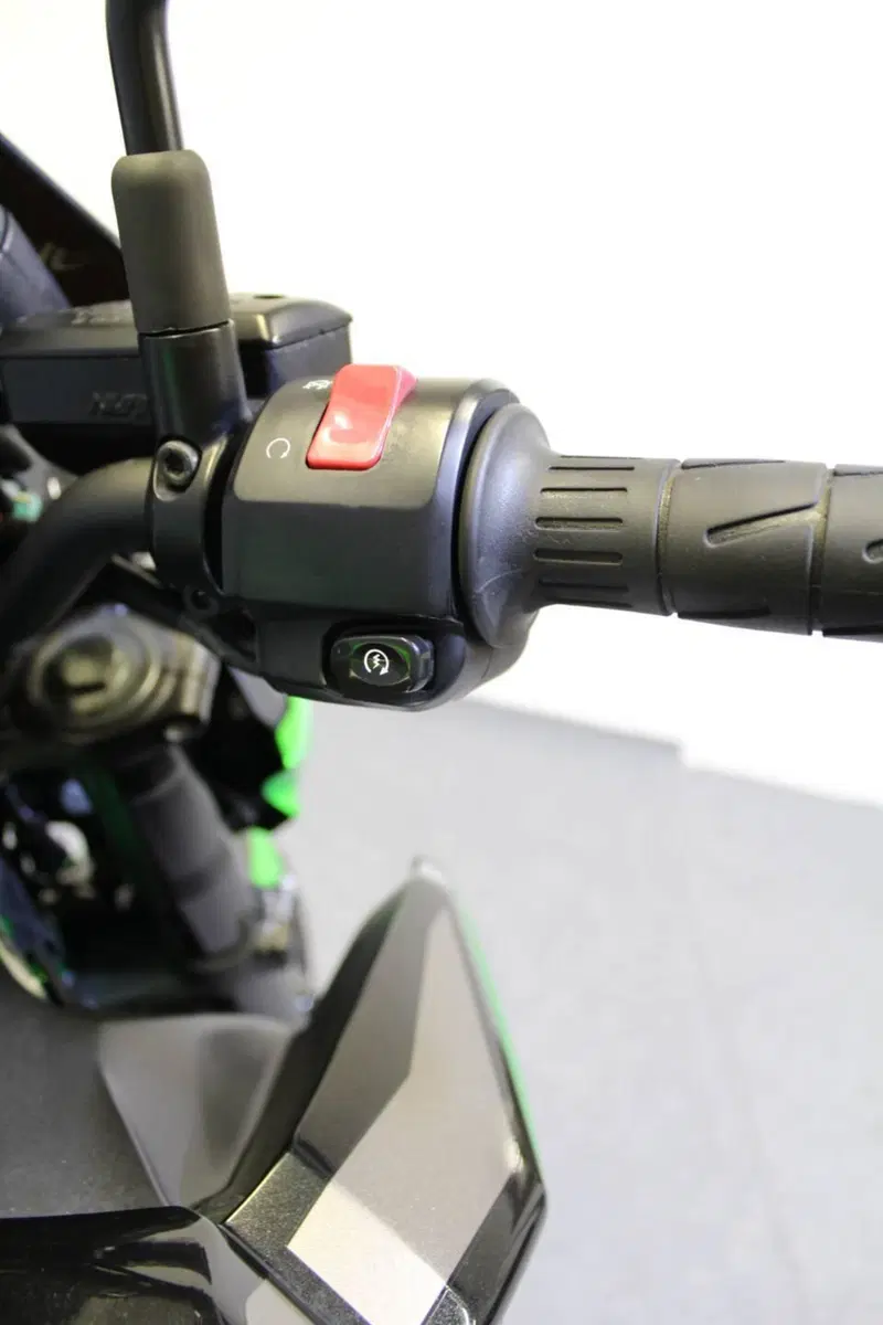 Kawasaki Z 900 Performance (2021 - 24) (11)