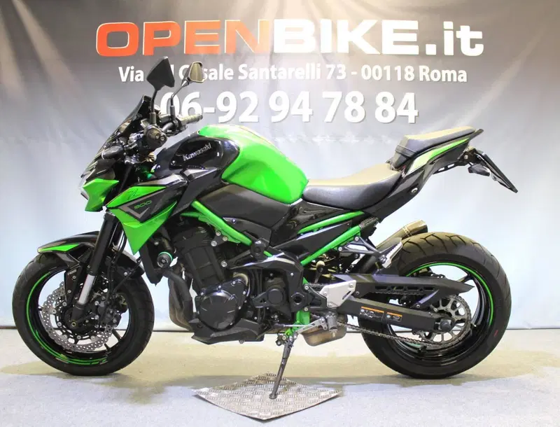 Kawasaki Z 900 Performance (2021 - 24) (13)