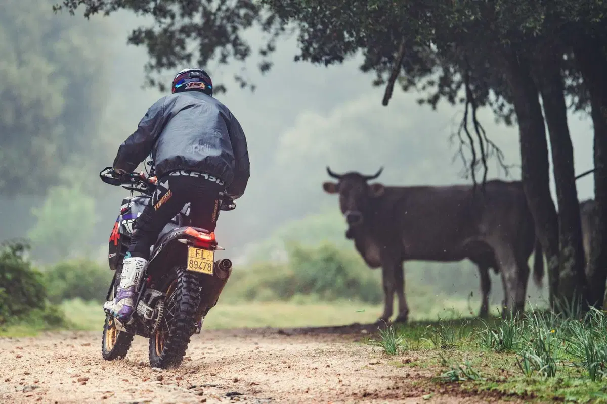 Sardegna Rally Raid. La prima Tappa: Andrea Gava, Kove, Pietro De Giacomi, KTM, Lorenzo Codecà, Suzuki, i vincitori (23)