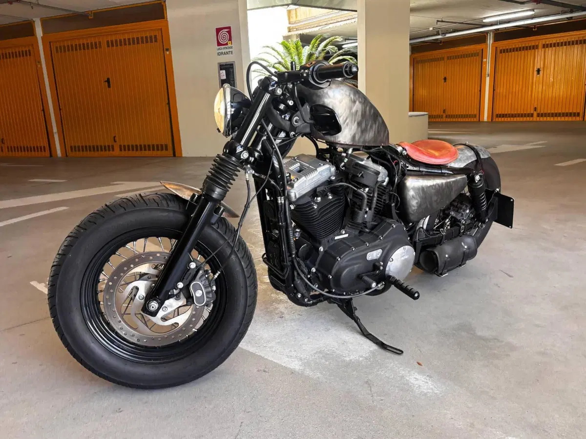 Harley-Davidson 1200 Forty-Eight (2010 - 15) (2)
