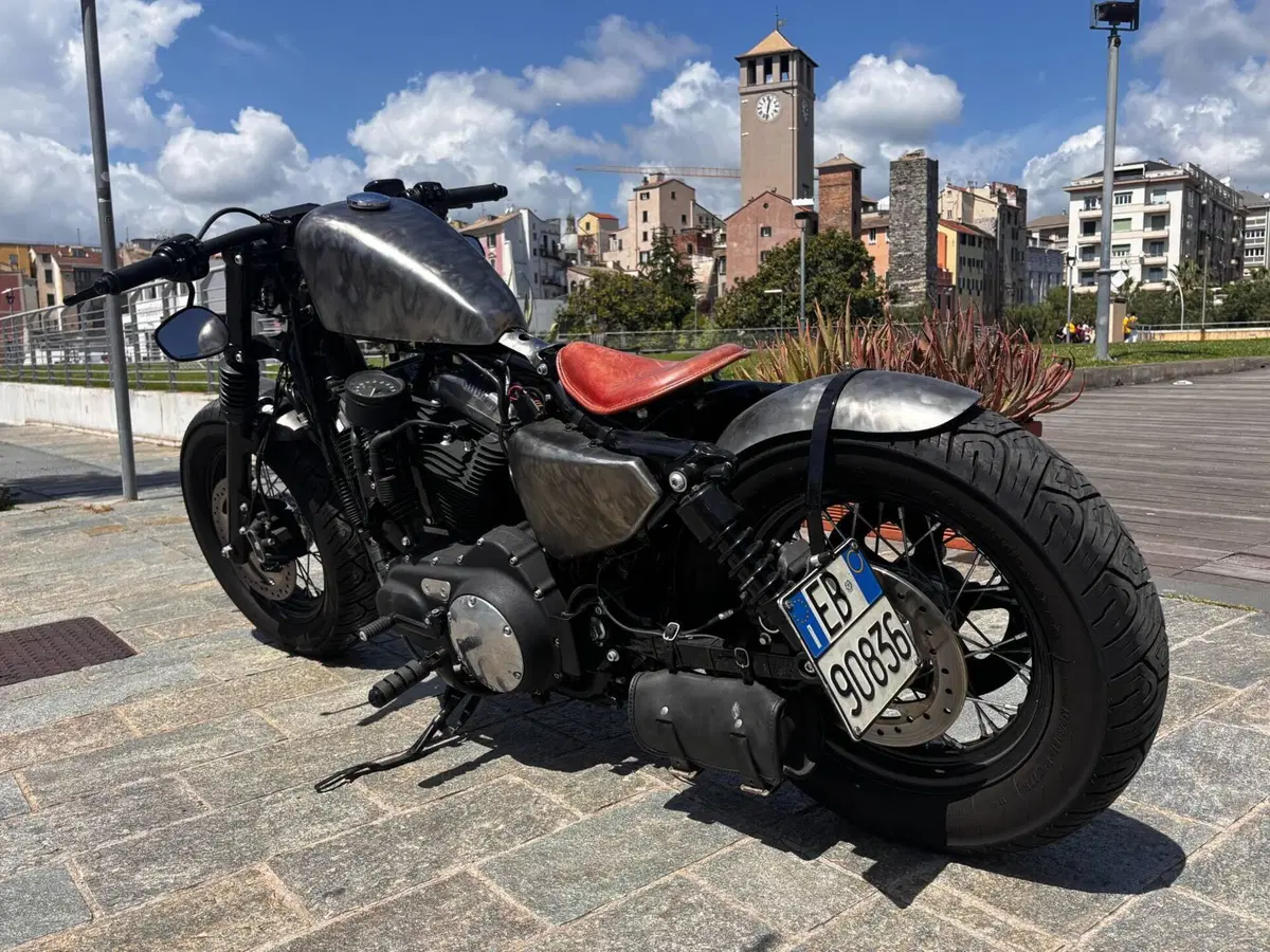 Harley-Davidson 1200 Forty-Eight (2010 - 15) (3)