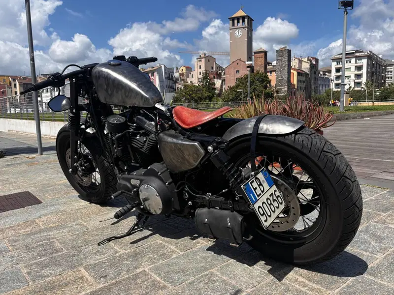 Harley-Davidson 1200 Forty-Eight (2010 - 15) (3)