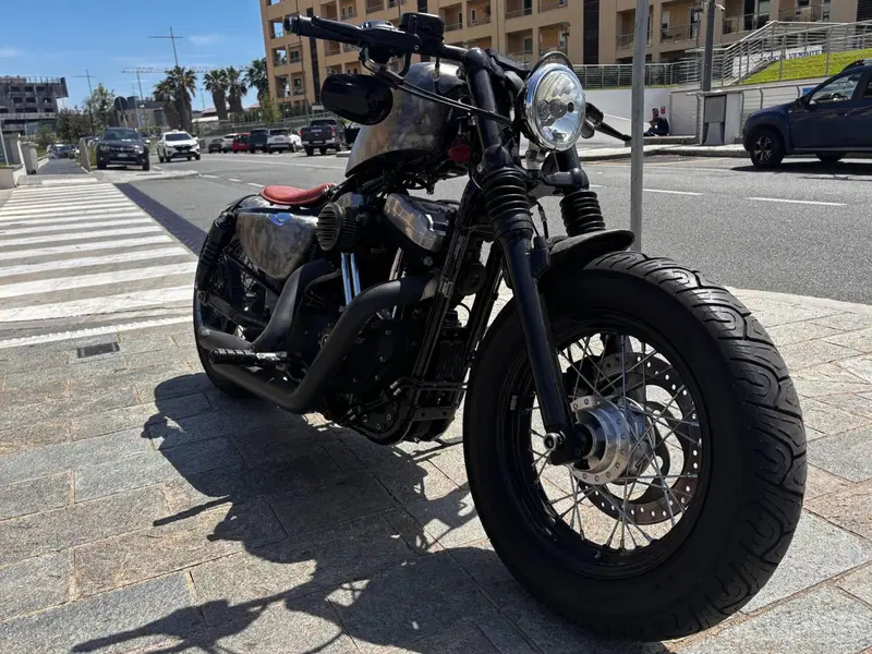 Harley-Davidson 1200 Forty-Eight (2010 - 15) (6)