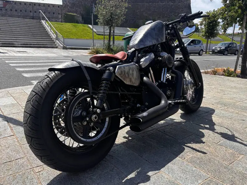 Harley-Davidson 1200 Forty-Eight (2010 - 15) (7)