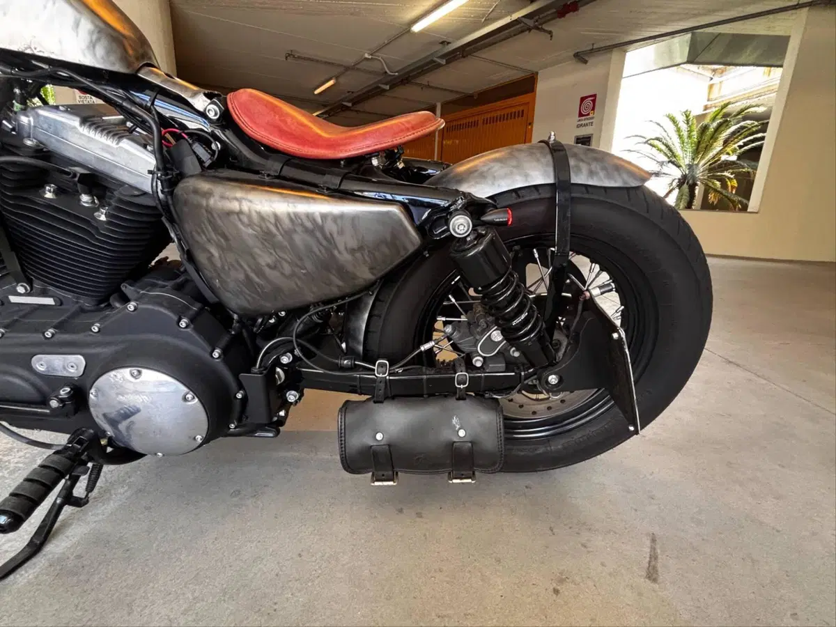 Harley-Davidson 1200 Forty-Eight (2010 - 15) (8)