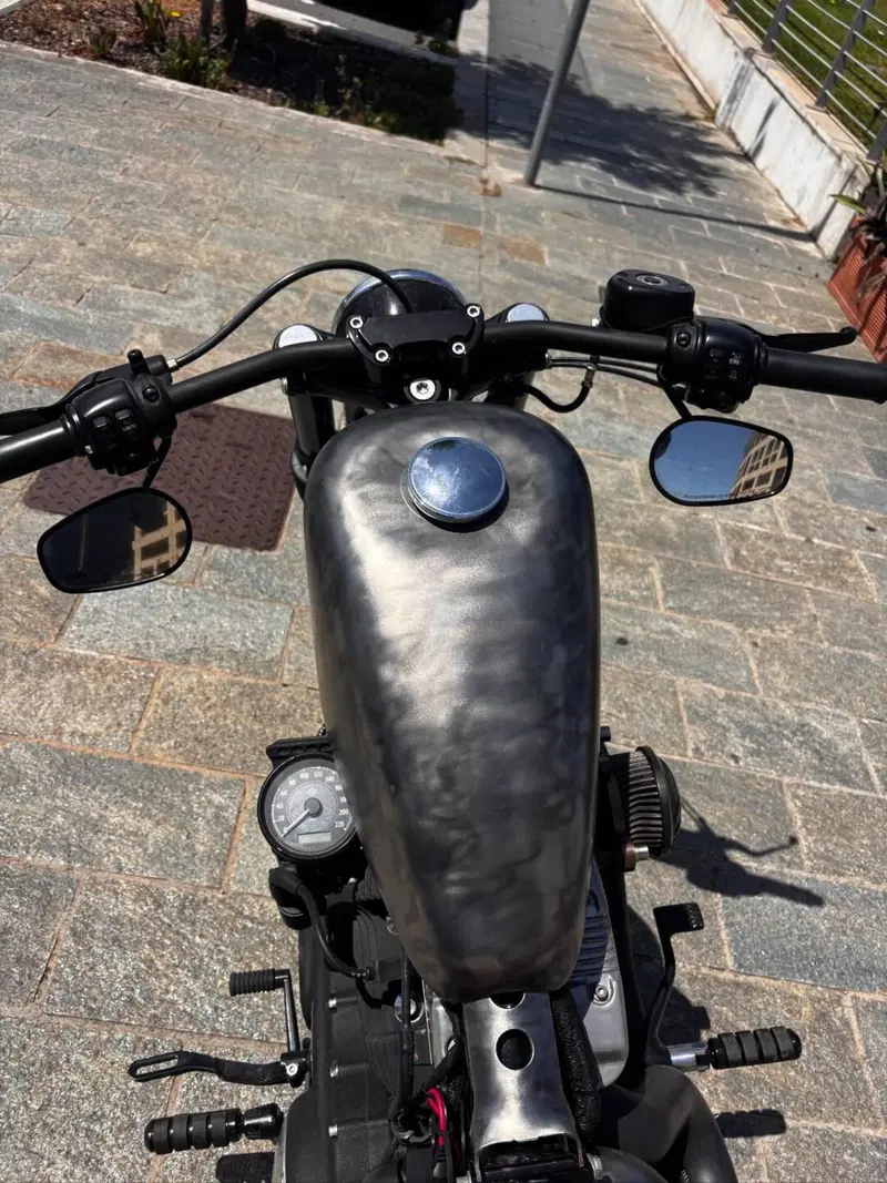 Harley-Davidson 1200 Forty-Eight (2010 - 15) (9)