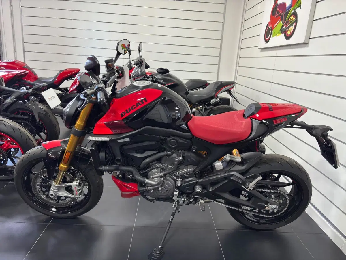Ducati Monster 937 SP (2023 - 25) (9)