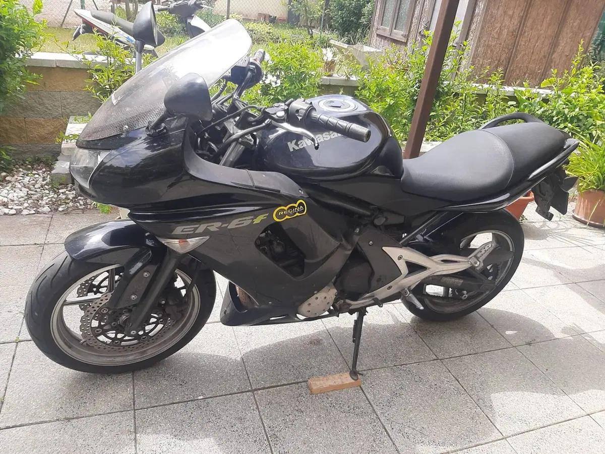 Kawasaki ER-6F (2006 - 08) (4)