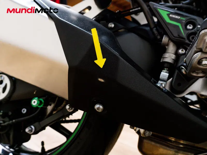 Kawasaki Ninja 1000 SX (2020) (14)