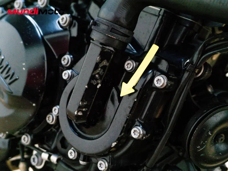 Bmw F 900 R (2021 - 24) (15)