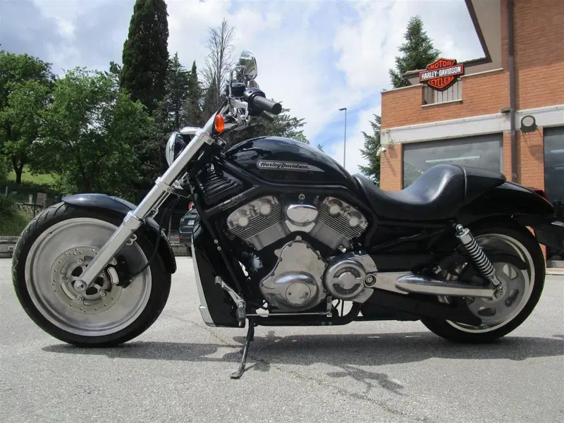 Harley-Davidson 1130 V-ROD (2002 - 05) - VRSCB (3)