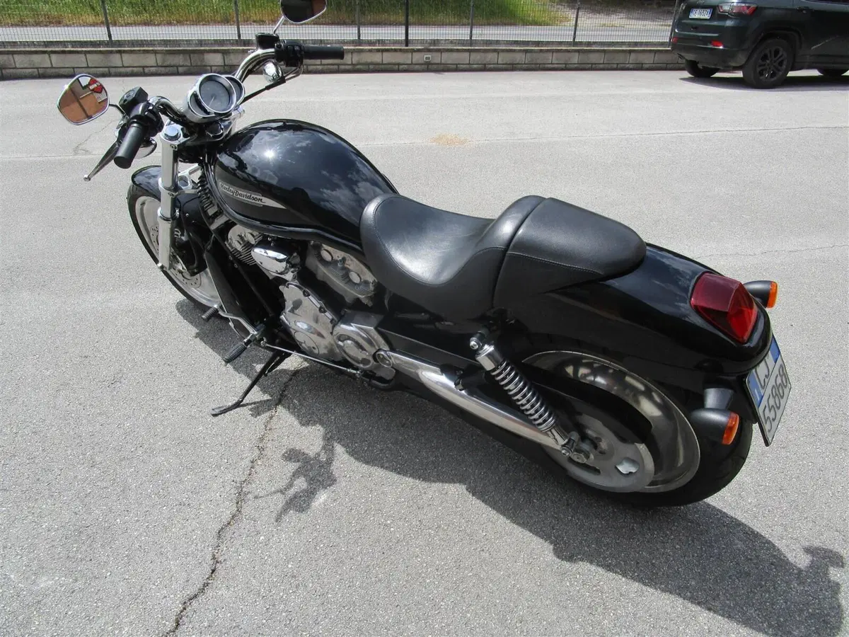 Harley-Davidson 1130 V-ROD (2002 - 05) - VRSCB (4)