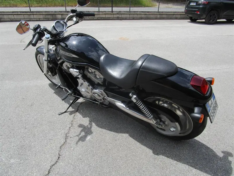 Harley-Davidson 1130 V-ROD (2002 - 05) - VRSCB (4)
