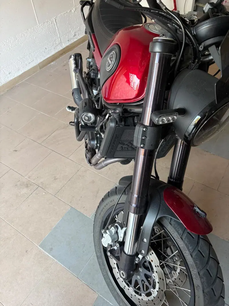 Benelli Leoncino 500 Trail ABS (2017 - 20) (3)