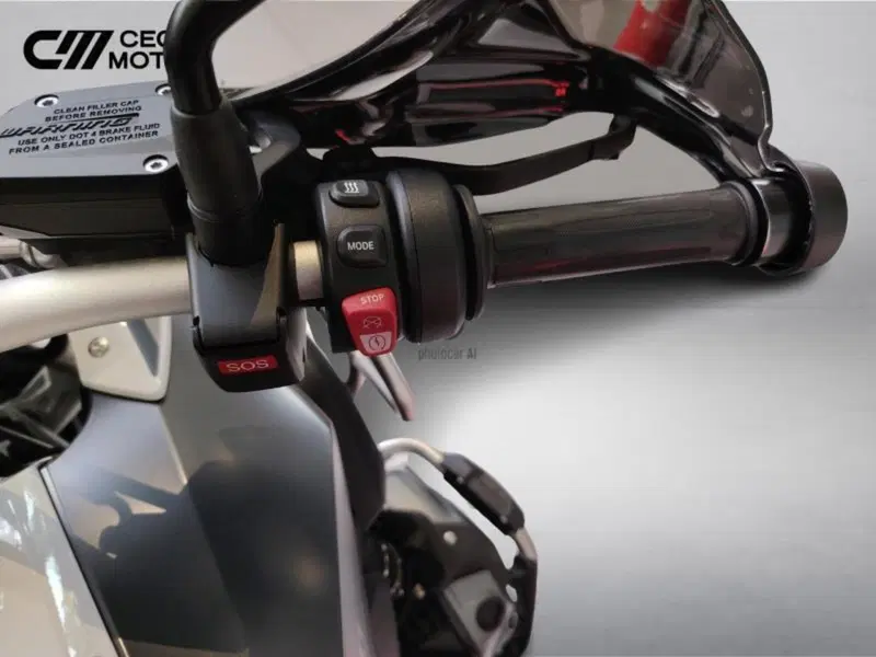 Bmw R 1250 GS (2021 - 24) (11)