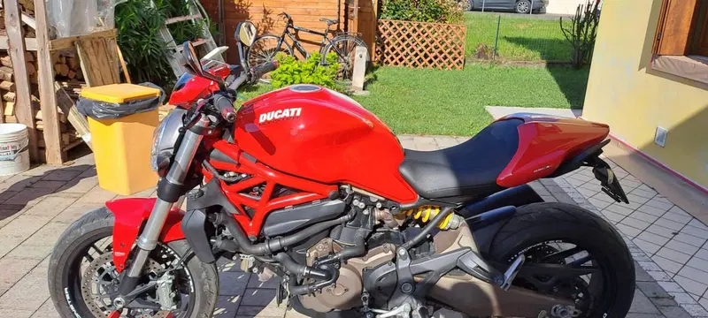 Ducati Monster 821 Stripe ABS (2015 - 17) (3)