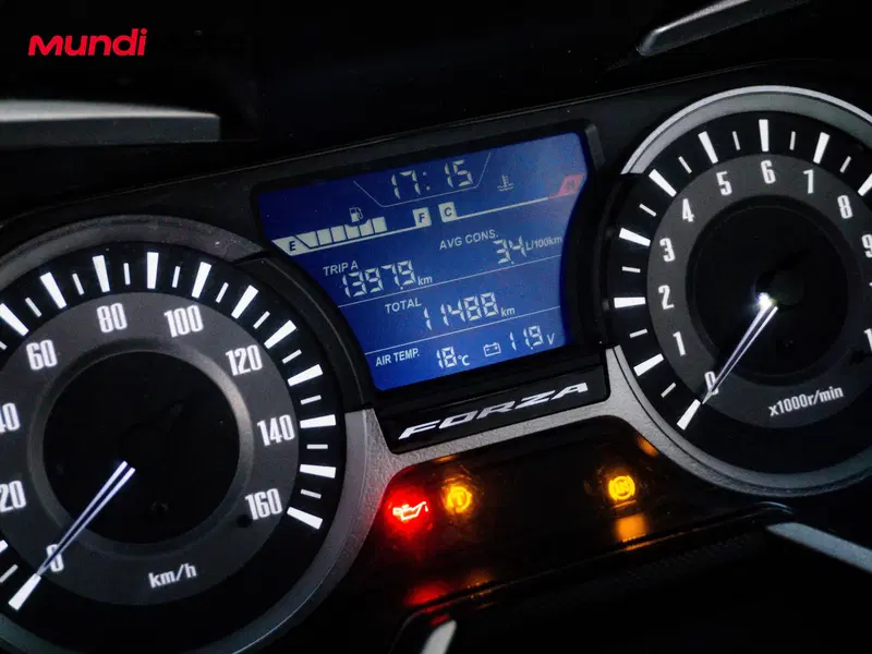 Honda Forza 300 (2019 - 20) (12)