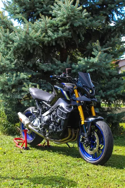 Yamaha MT-09 SP (2021 - 23) usata