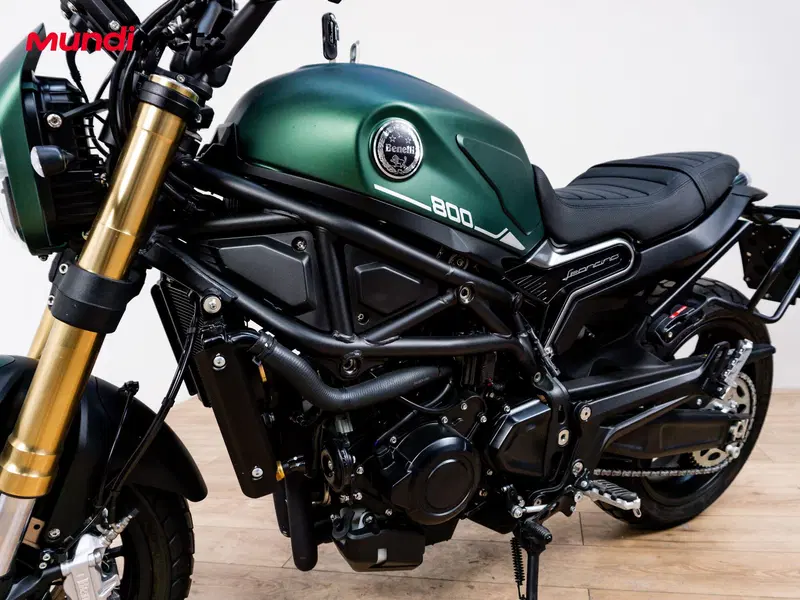 Benelli Leoncino 800 (2022 - 26) (9)