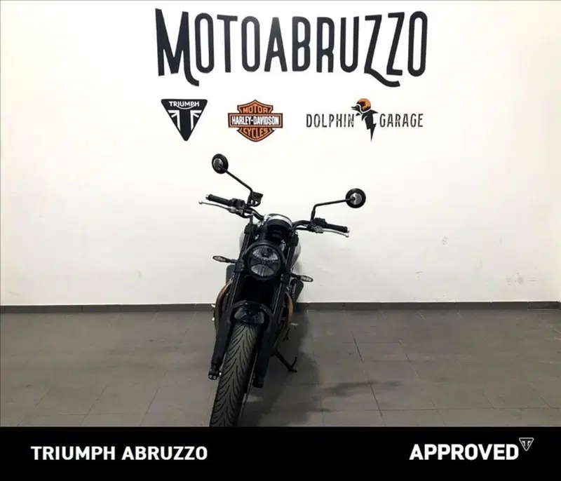 Triumph Speed Twin 900 (2023 - 24) (3)