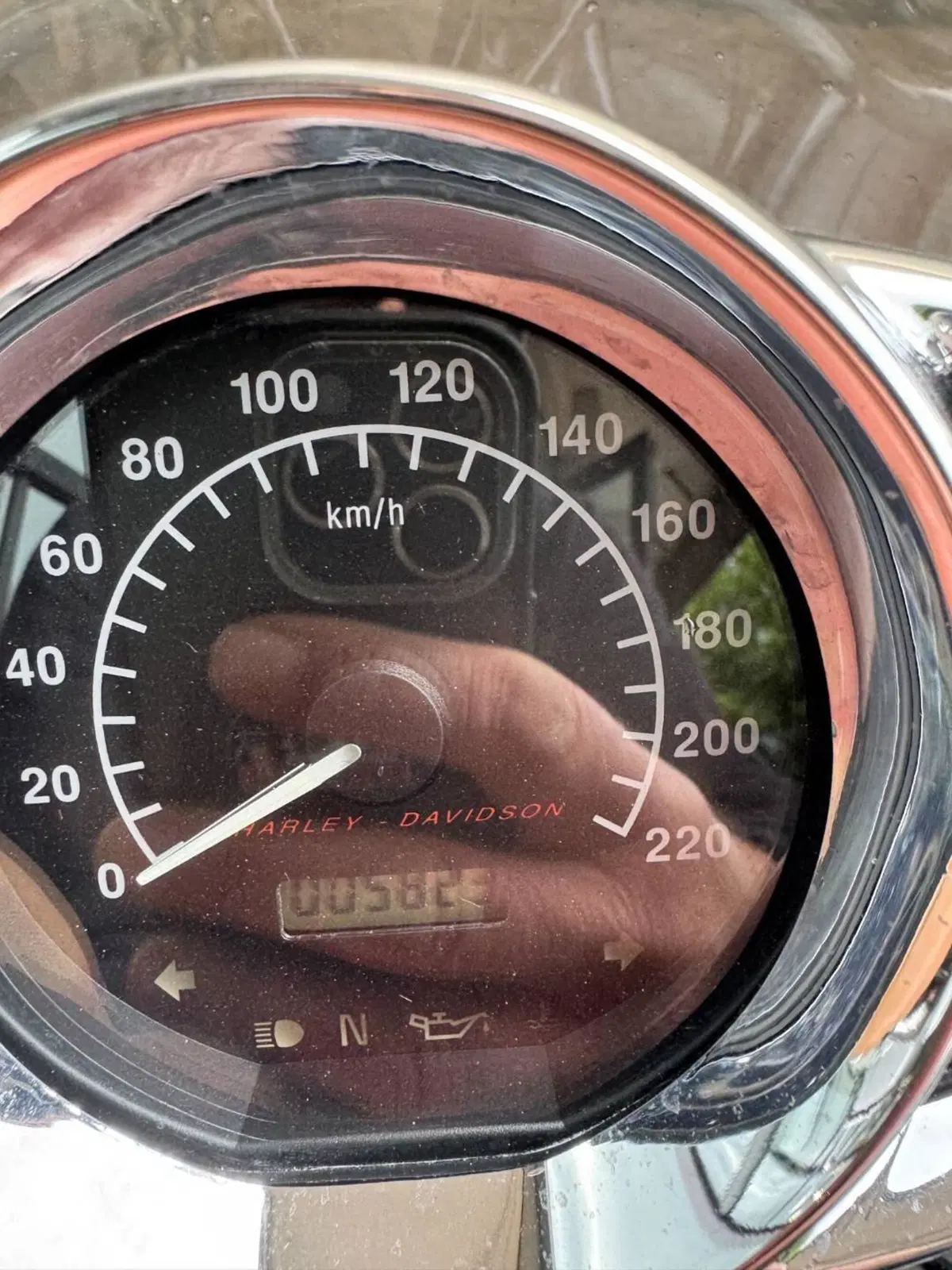 Harley-Davidson 1130 V-Rod (2002 - 05) - VRSCA (3)