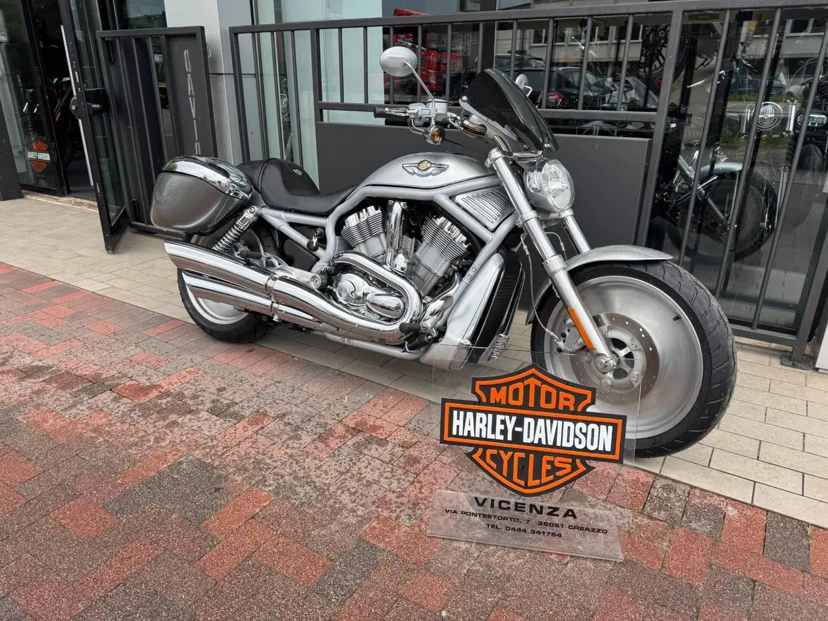 Harley-Davidson 1130 V-Rod (2002 - 05) - VRSCA