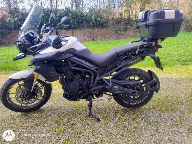 Triumph Tiger 800 ABS (2010 - 14) (2)