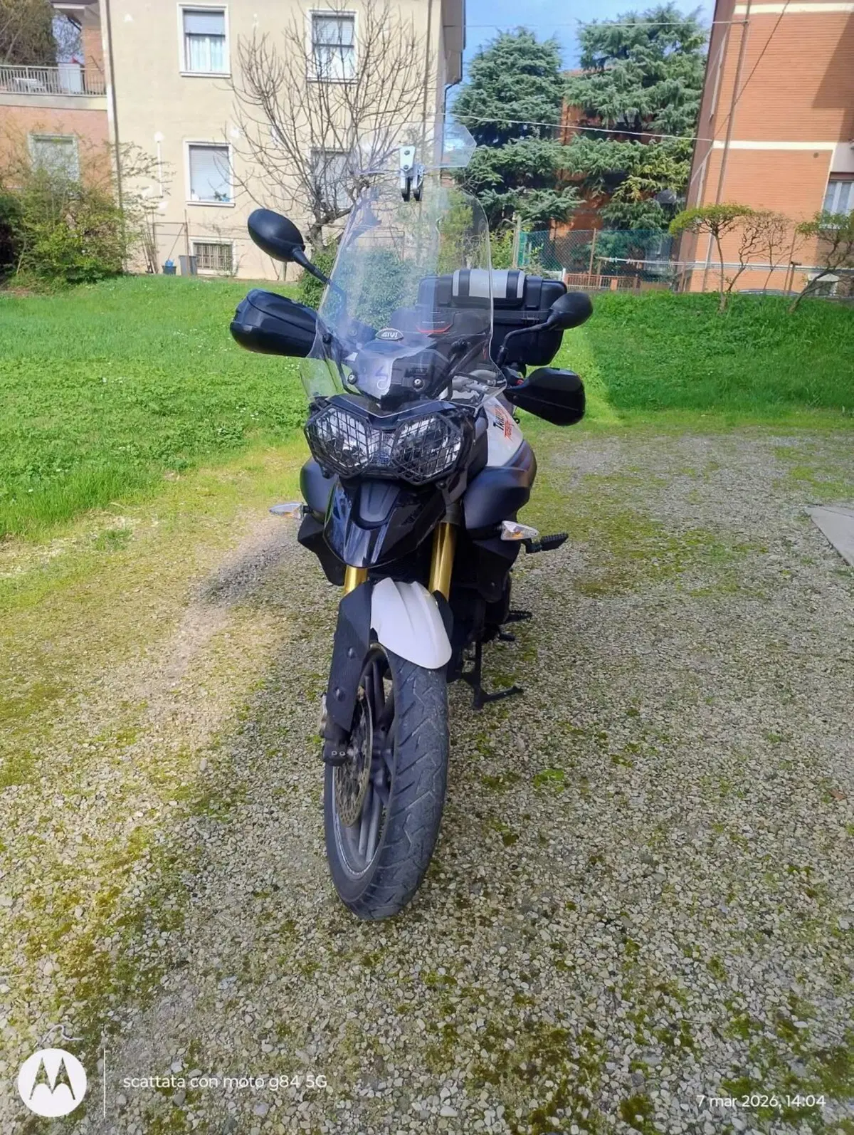 Triumph Tiger 800 ABS (2010 - 14) (3)