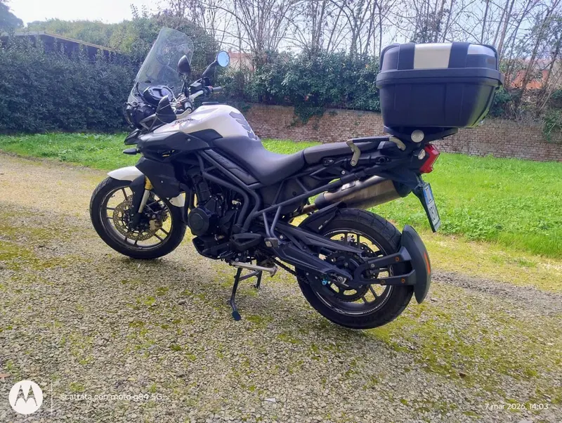 Triumph Tiger 800 ABS (2010 - 14) (4)