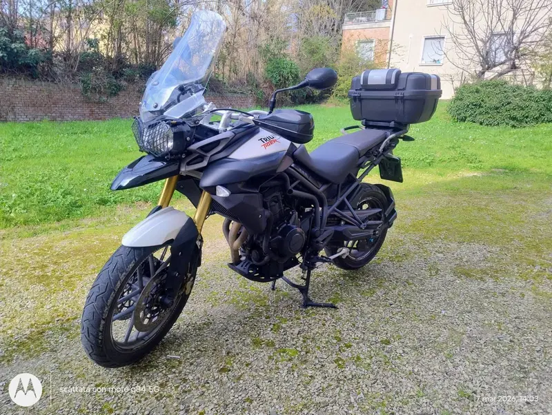 Triumph Tiger 800 ABS (2010 - 14) (6)