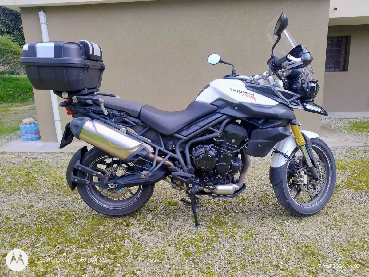 Triumph Tiger 800 ABS (2010 - 14) (9)