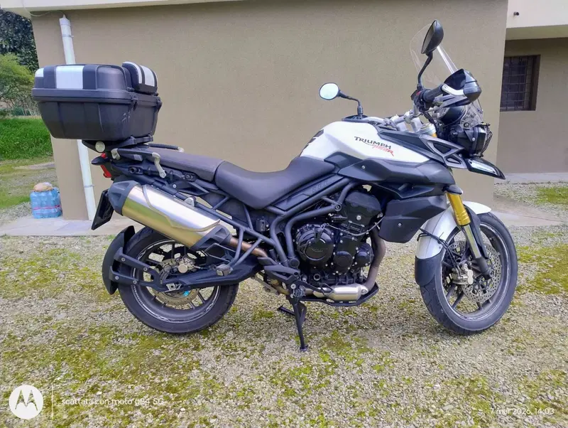 Triumph Tiger 800 ABS (2010 - 14) (9)