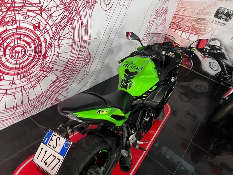 Kawasaki Ninja 650 (2017 - 19) (5)