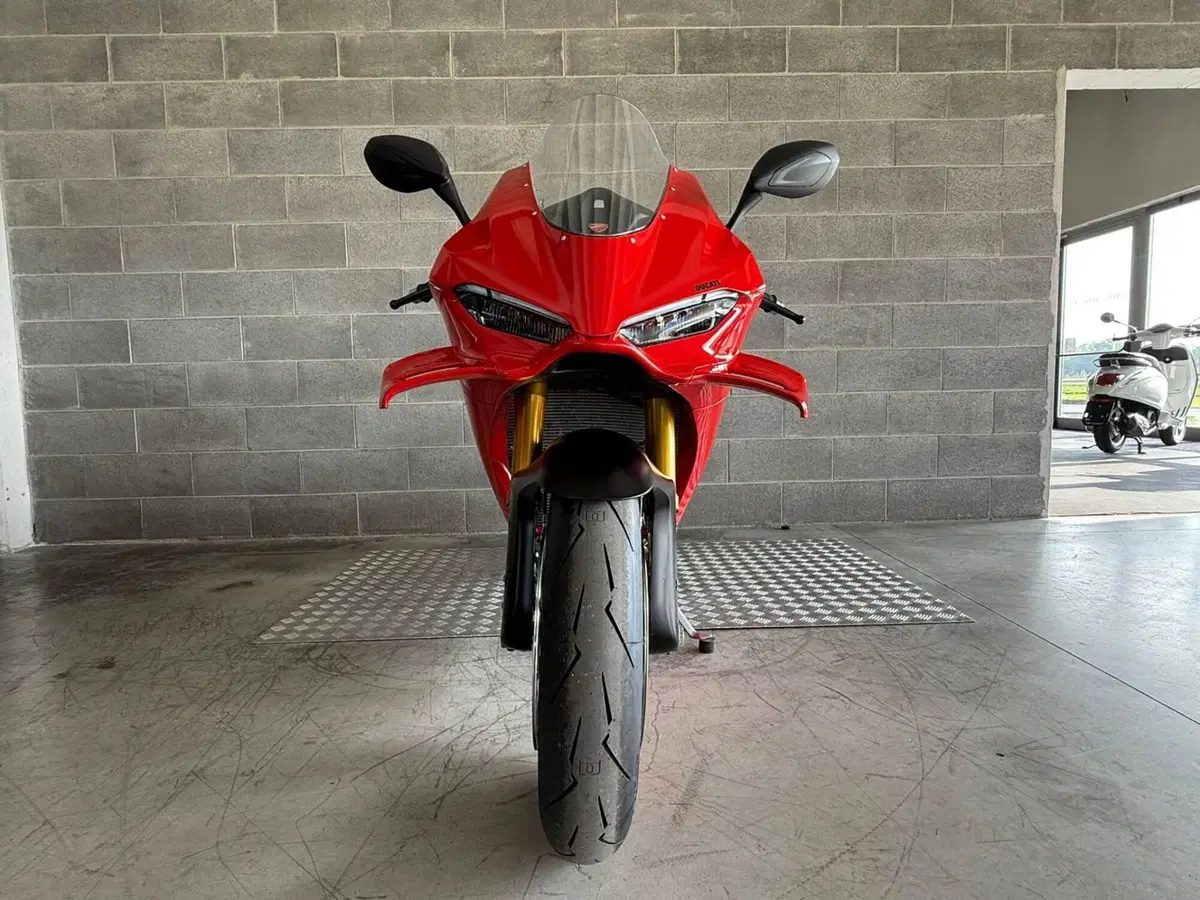 Ducati Panigale V4 S (2025 - 26) (4)