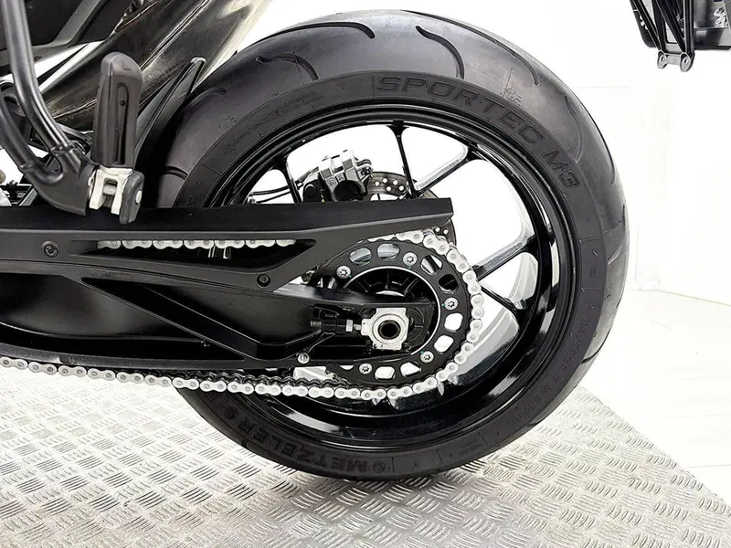 KTM 790 Duke L (2023 - 24) (17)