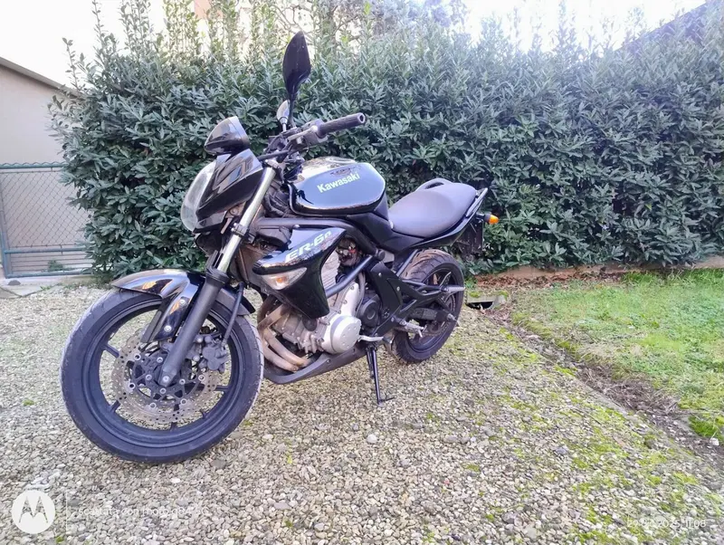 Kawasaki ER-6N (2009 - 11) (2)