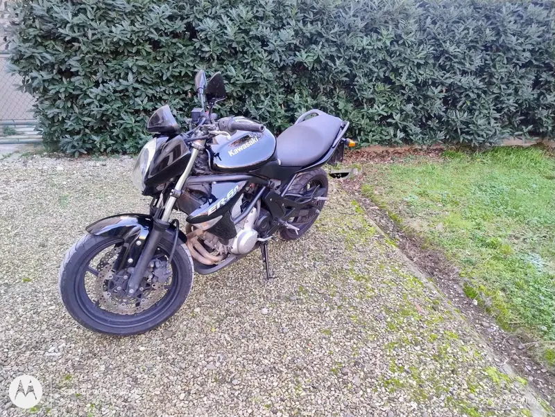 Kawasaki ER-6N (2009 - 11) (3)