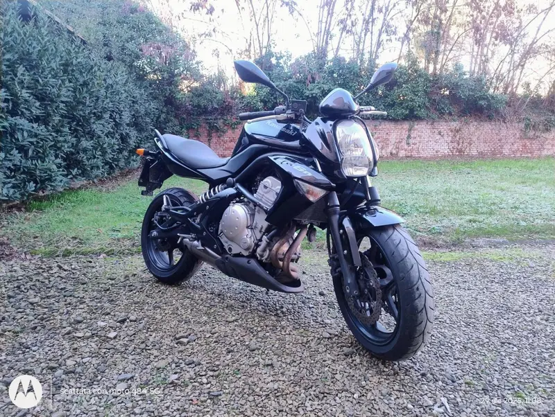 Kawasaki ER-6N (2009 - 11) (4)