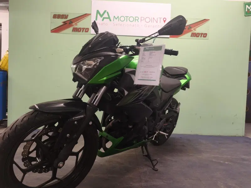 Kawasaki Z 300 ABS (2015 - 16) (2)