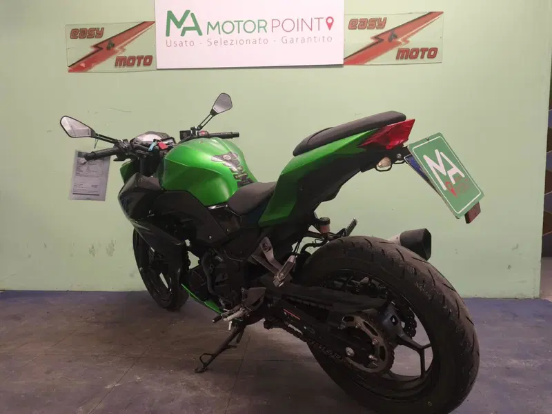 Kawasaki Z 300 ABS (2015 - 16) (3)