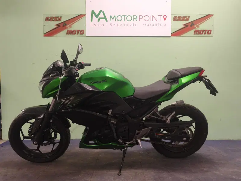 Kawasaki Z 300 ABS (2015 - 16) (4)