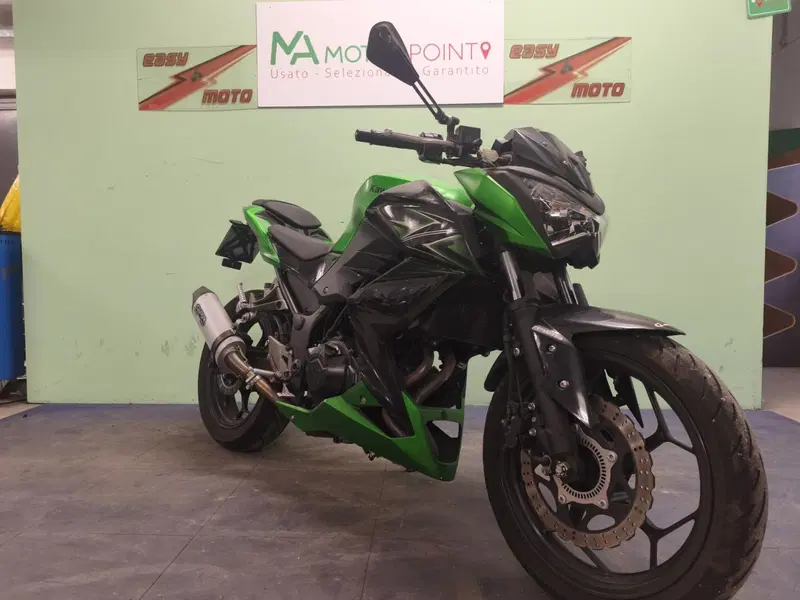 Kawasaki Z 300 ABS (2015 - 16) (5)