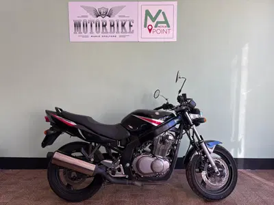 Suzuki GS 500 (2001 - 06) usata