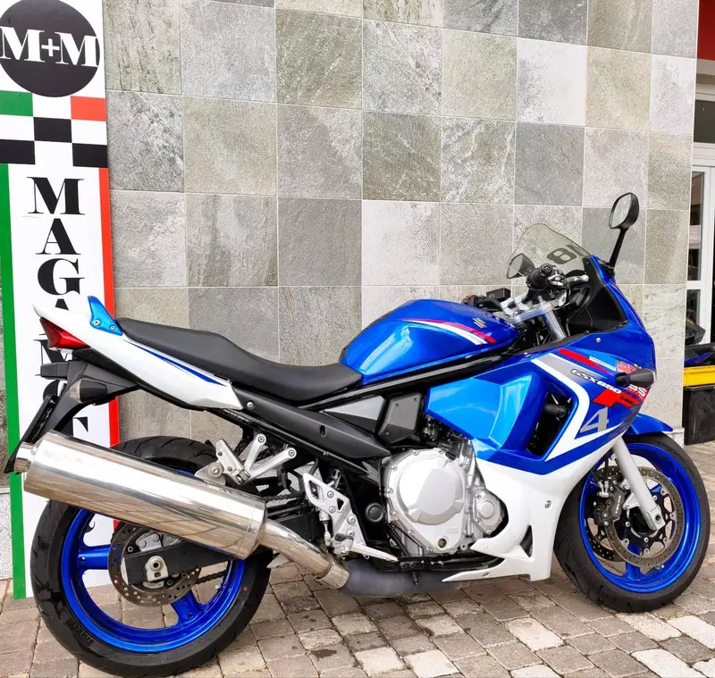 Suzuki GSX 650 F (2007 - 15) (2)