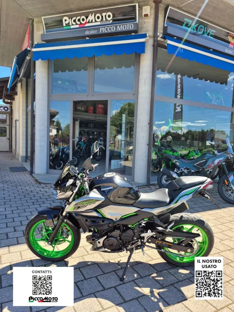 Kawasaki Z 500 SE (2024 - 26)