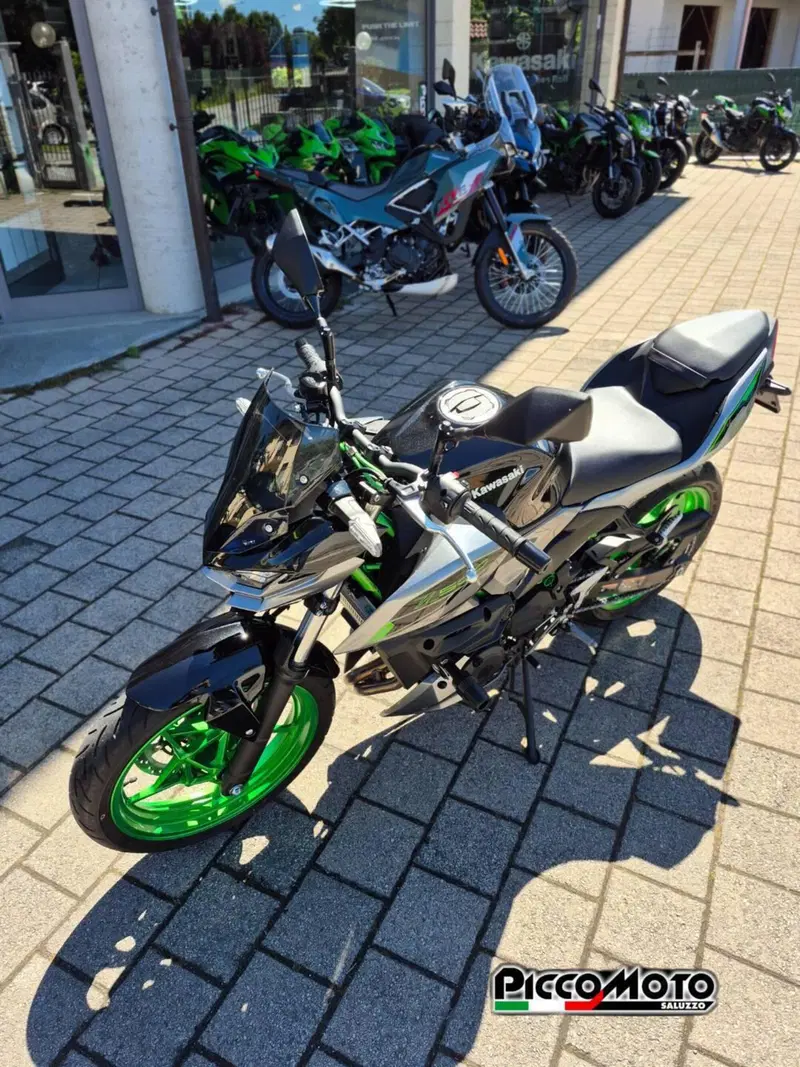 Kawasaki Z 500 SE (2024 - 26) (4)